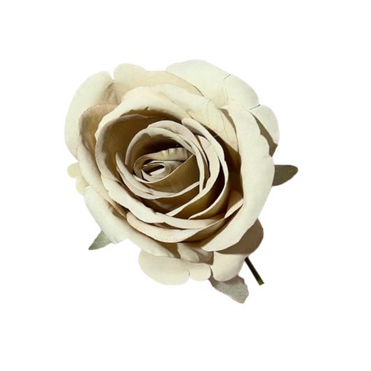 Rose single stem 10x10x18cm (12pz)
