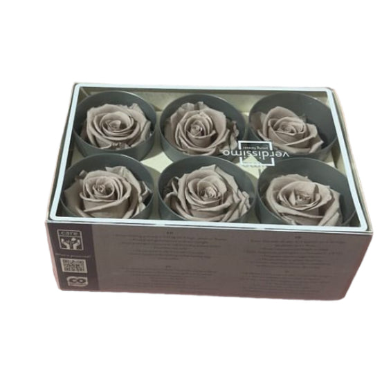 Rose stabilizzate (6pz)