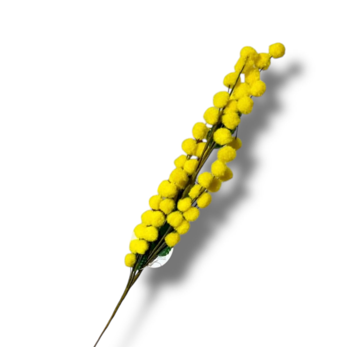 Ramo mimosa grande H48cm (6pz)