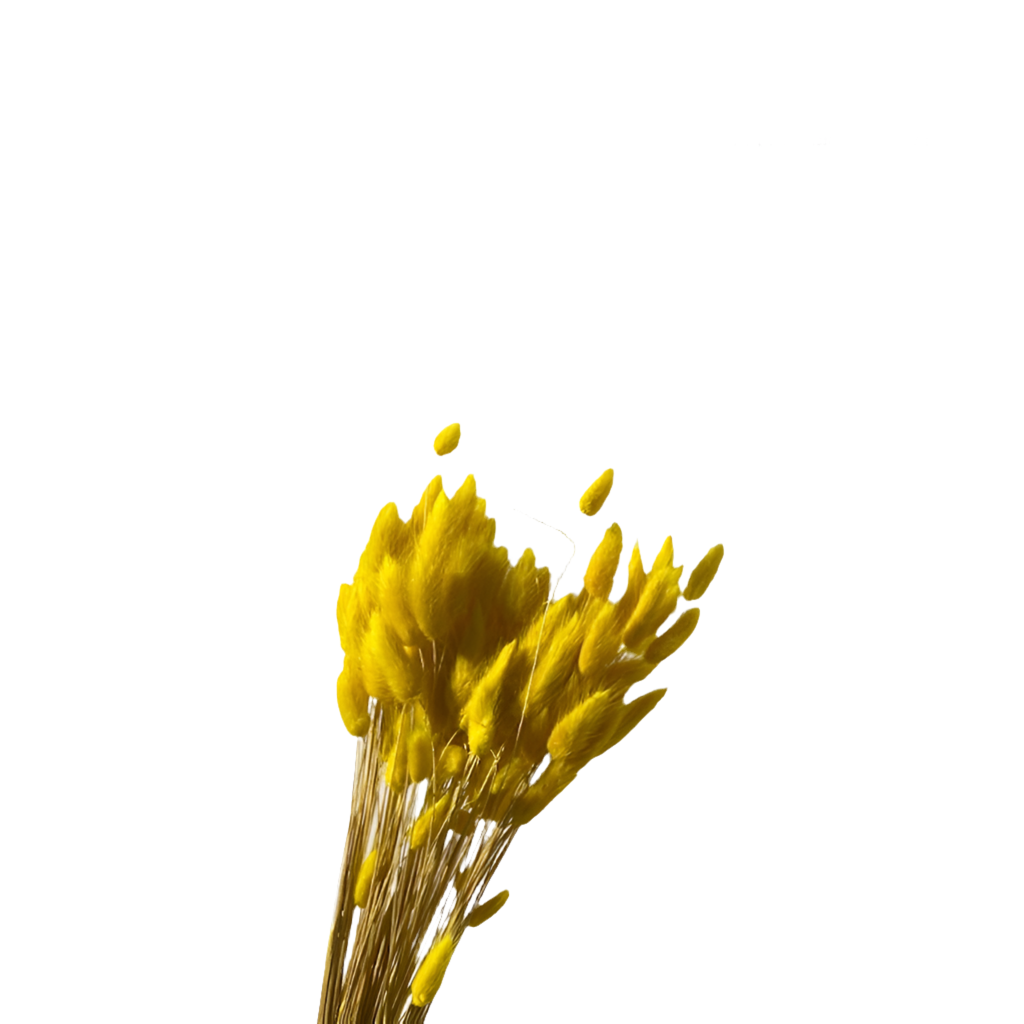 Topini 100gr