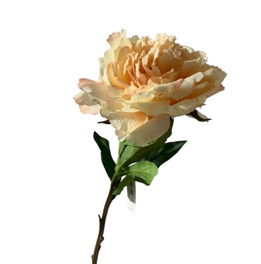 Peonia isabel 65cm