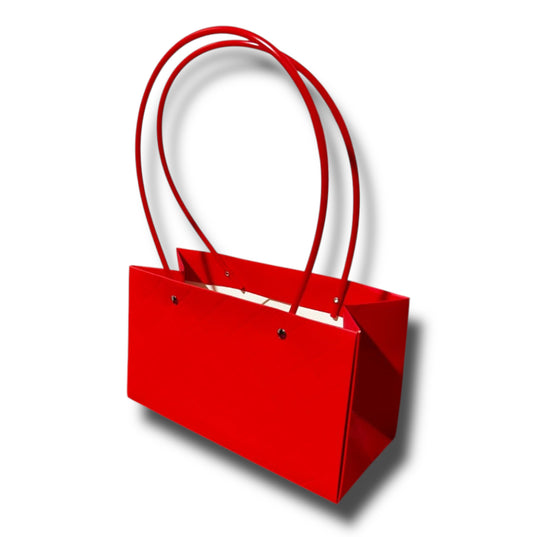 Busta carta sagomata con manico 21x10x14cm (12pz)