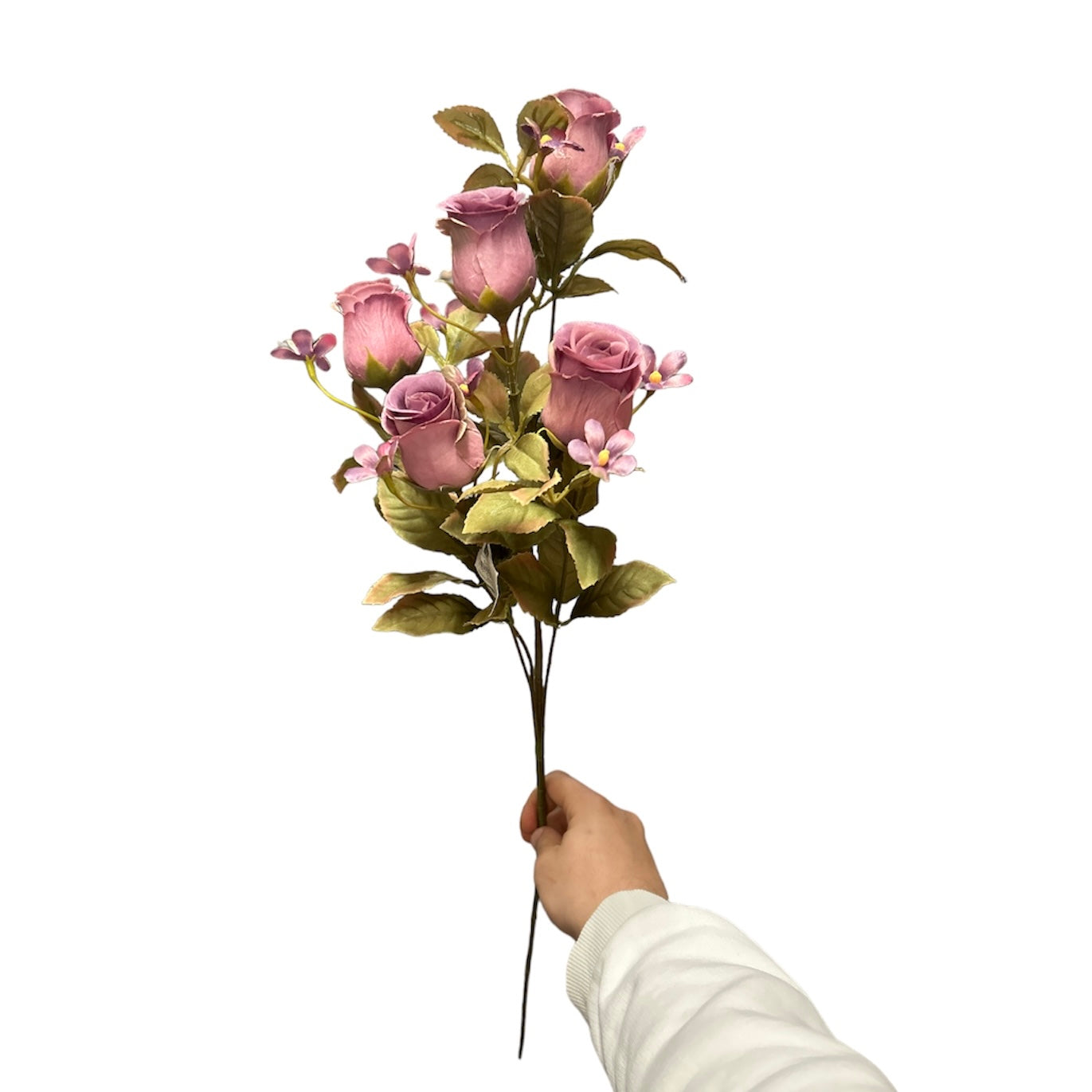 Rose bud