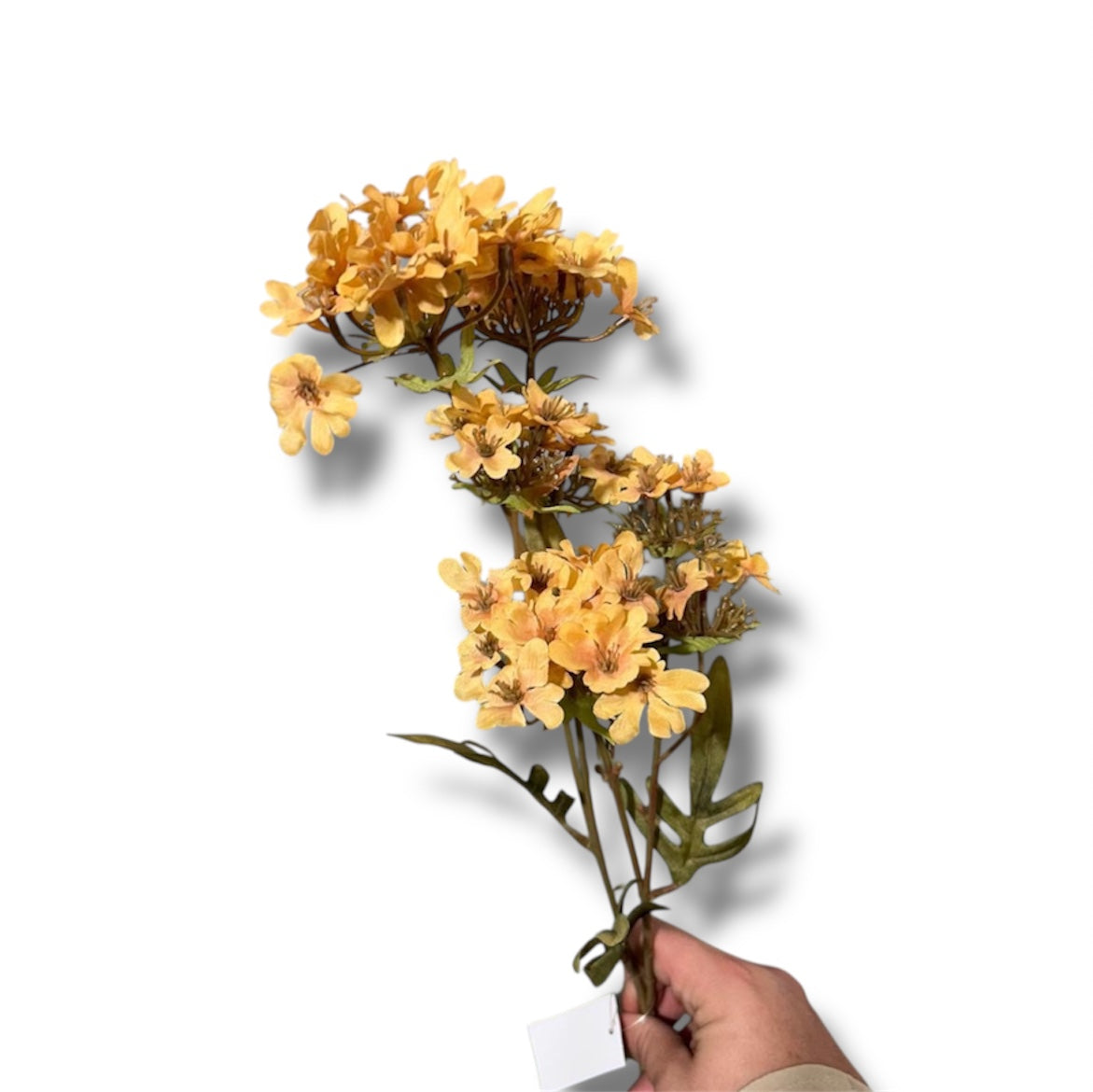 Verbera spray 70cm