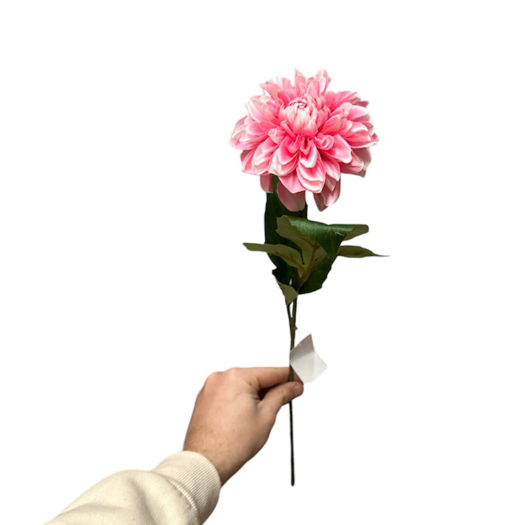 Single dahlia spray