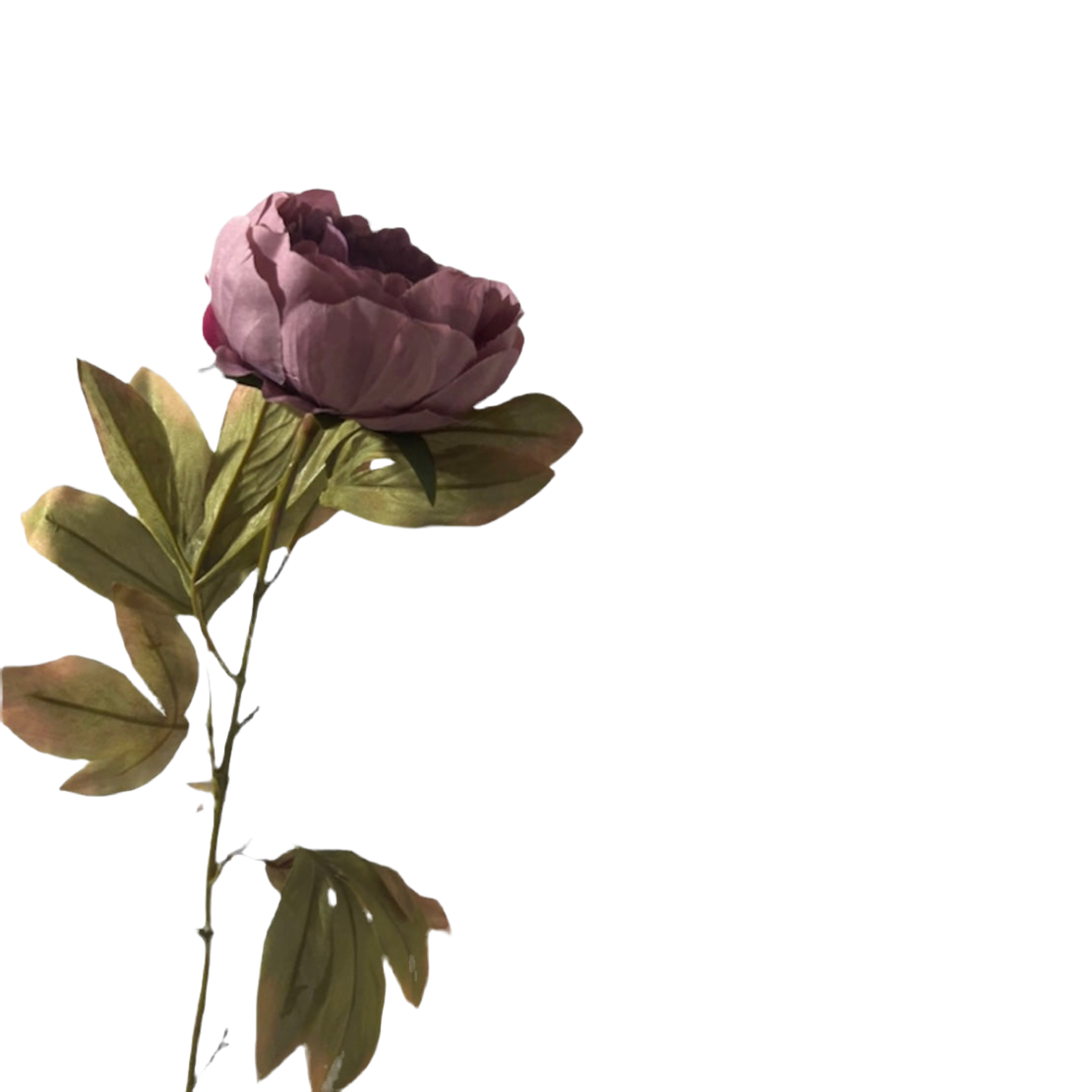 Autumn single peony artificiale