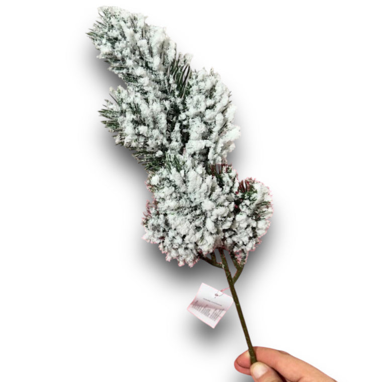 Pick Pino Nordmann Innevato – 39 cm