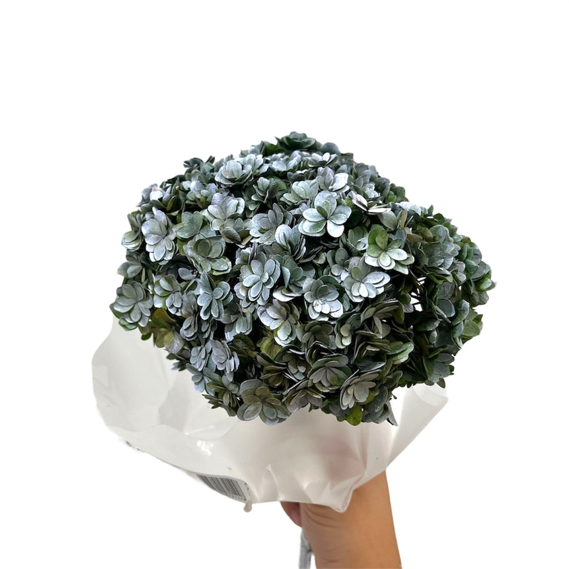Ortensia Twin Petals Stabilizzata – Mazzo