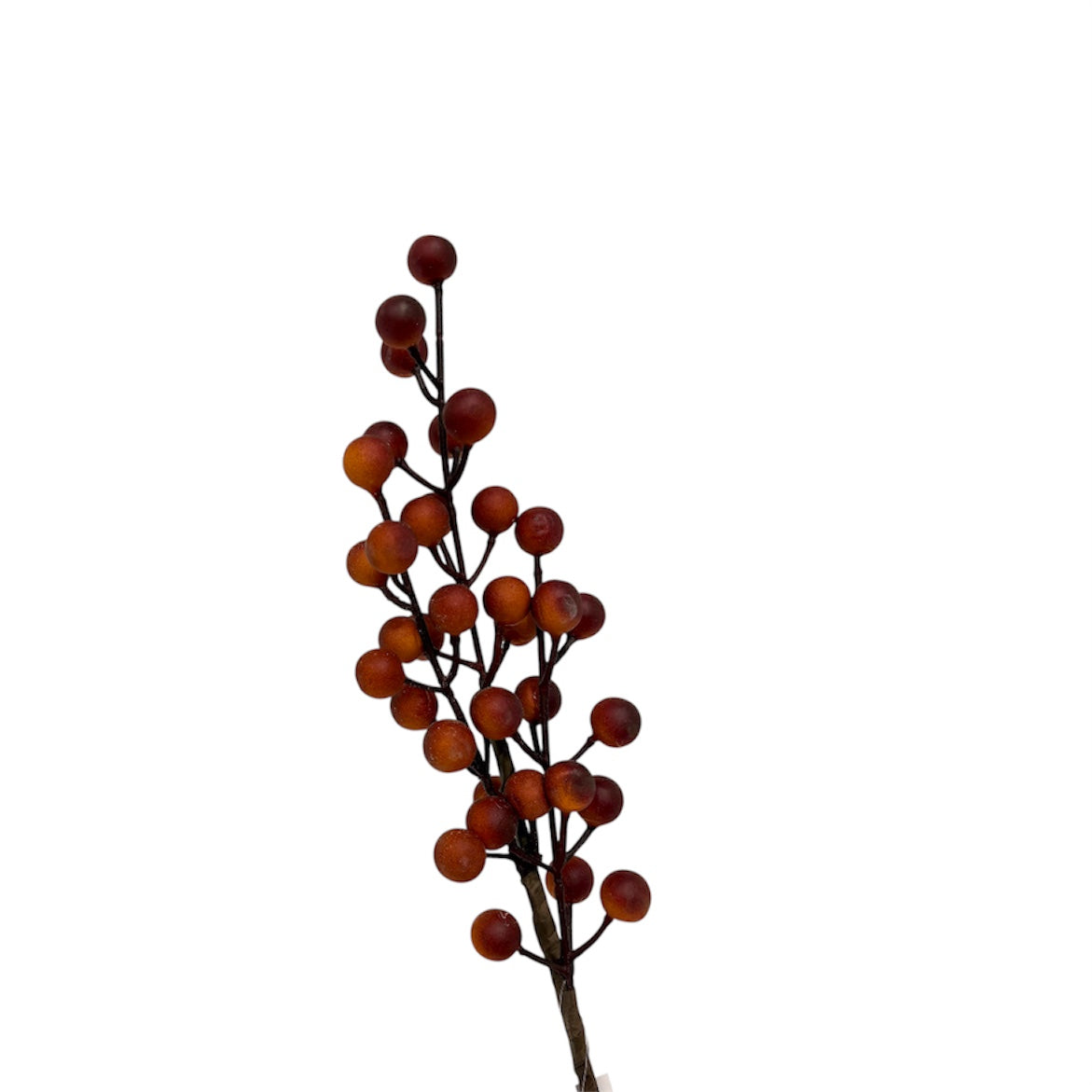 Ramo bacche decorative
