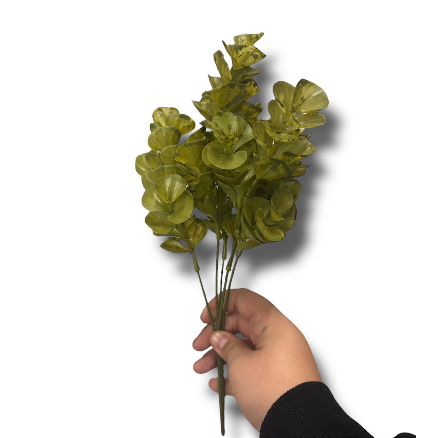 Pallaea Fern Bush