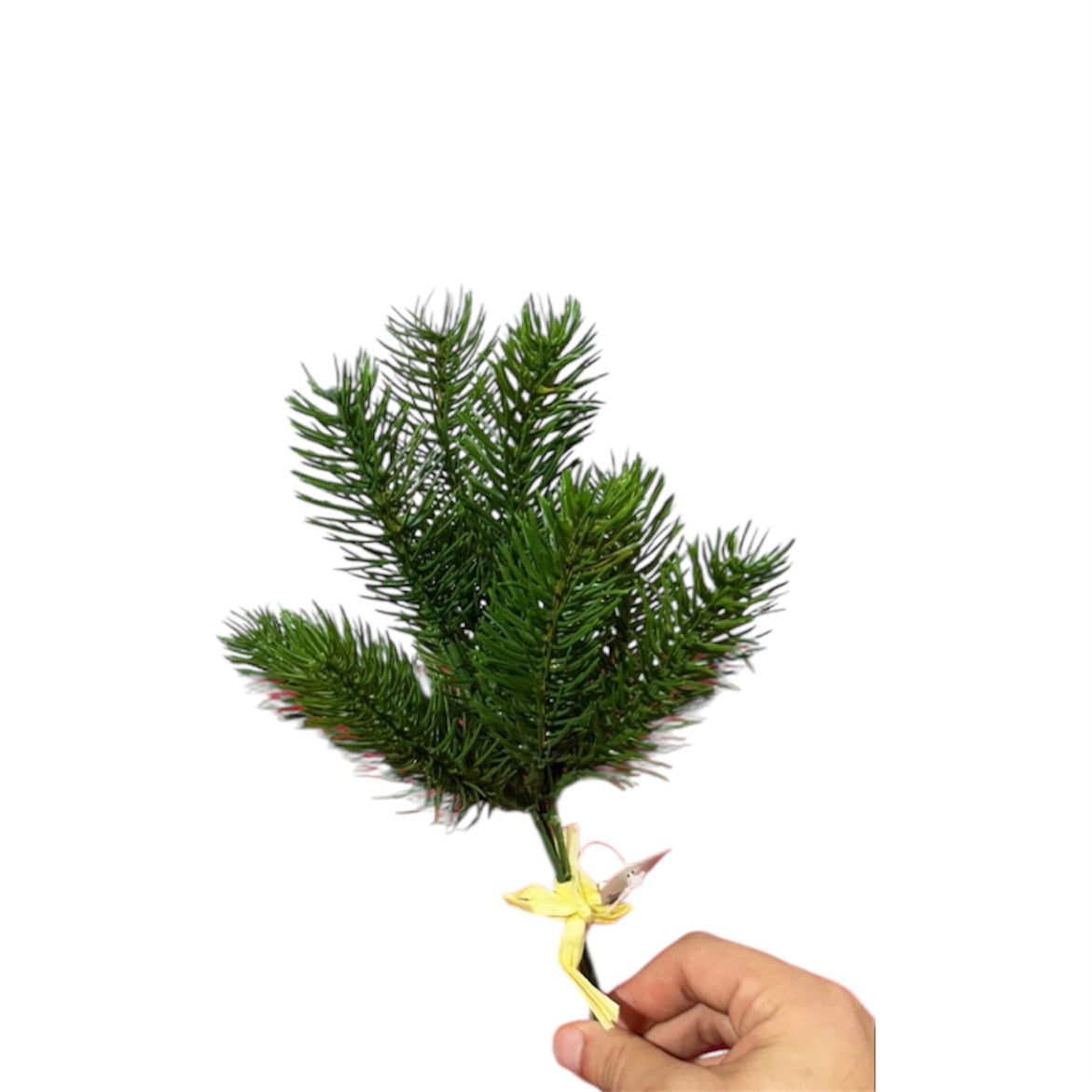 Mazzo Pine Bundle x3 – 27 cm
