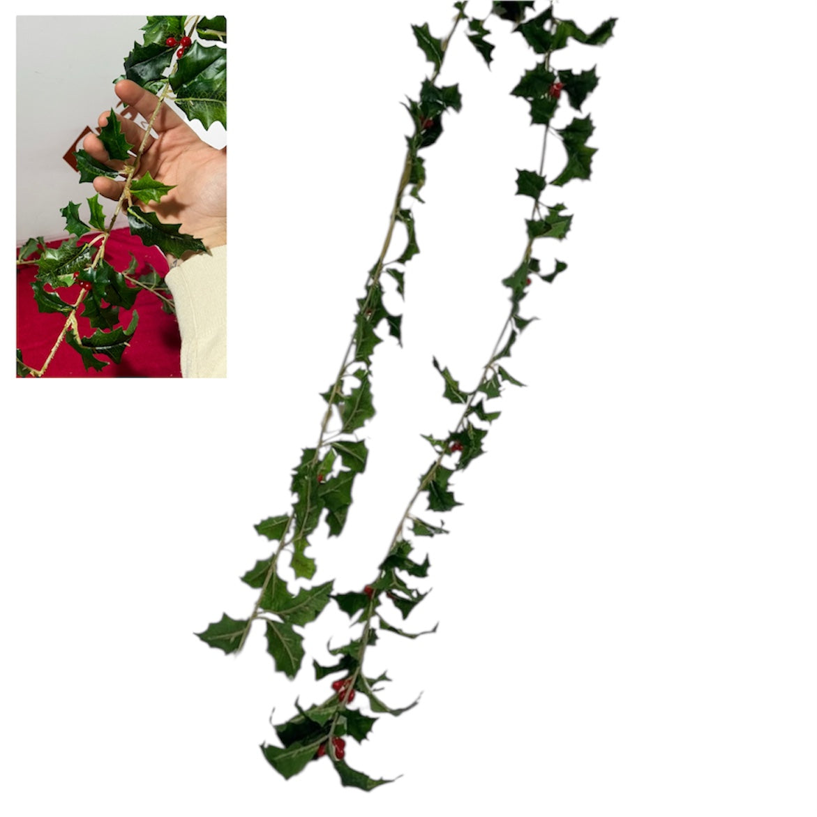 Ghirlanda Agrifoglio Verde – 180 cm