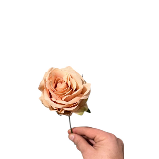 Ecuador Rose Head con ferro D.9 cm (confezione da 20 pz)