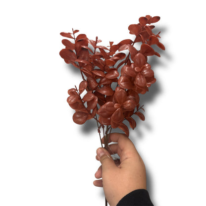 Buxus bush