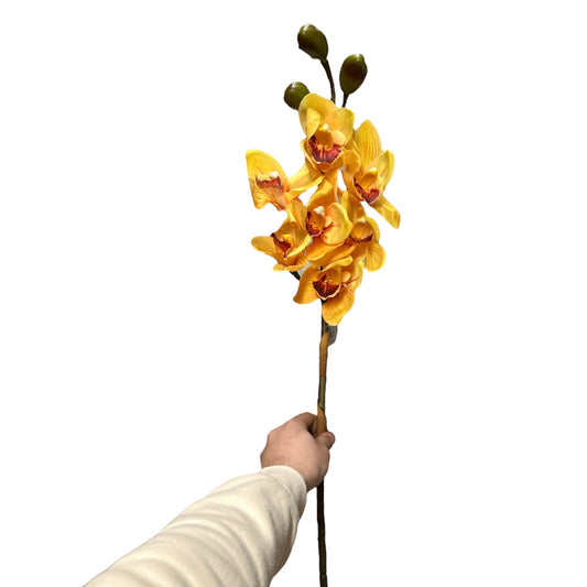 Cimbidium real touch - Mamà Lah