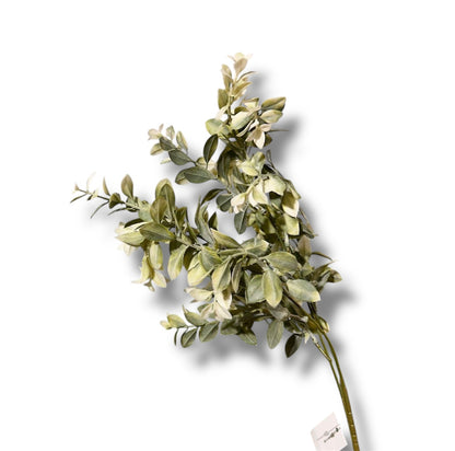 Boxwood spray x3