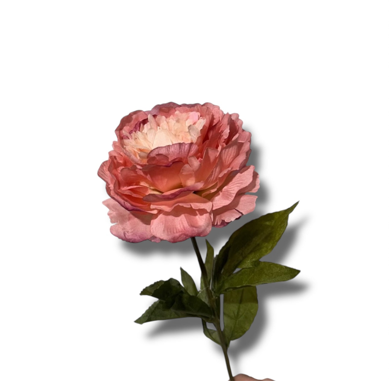 Single peony spray 70cm