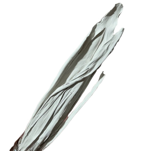Buttle cover (5pz)