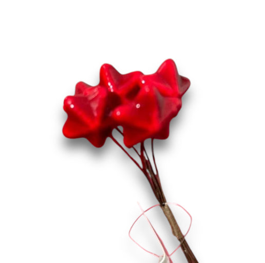 Bundle 36 stelle in PVC