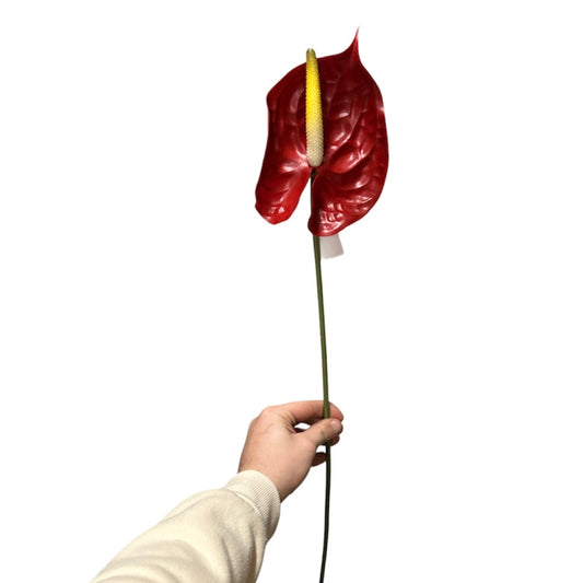 Anthurium spray