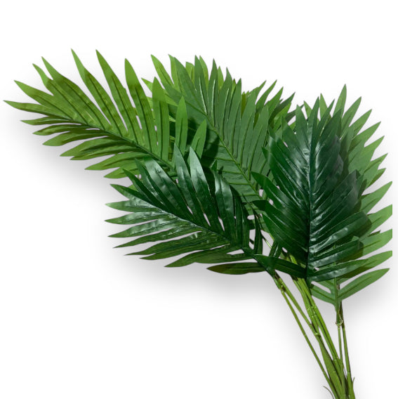 Foglia di palmetta verde
