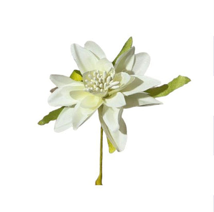 Dalia piccola 6cm (6pz)