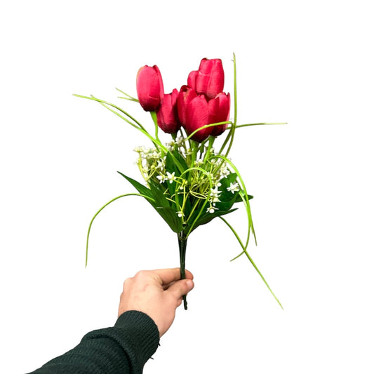 Bush tulipano - Mamà Lah