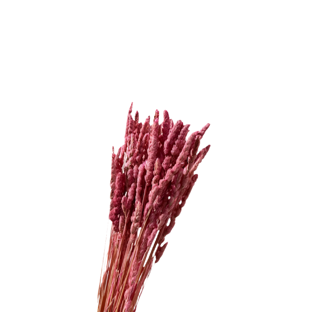 Mazzo paleone