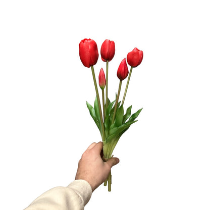 Fascio tulipani