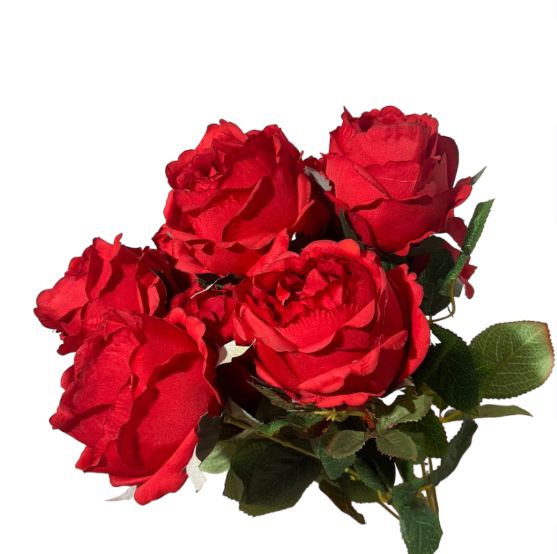 Bush rosa cabbage x10 - Mamà Lah