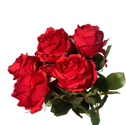 Bush rosa cabbage x10 - Mamà Lah