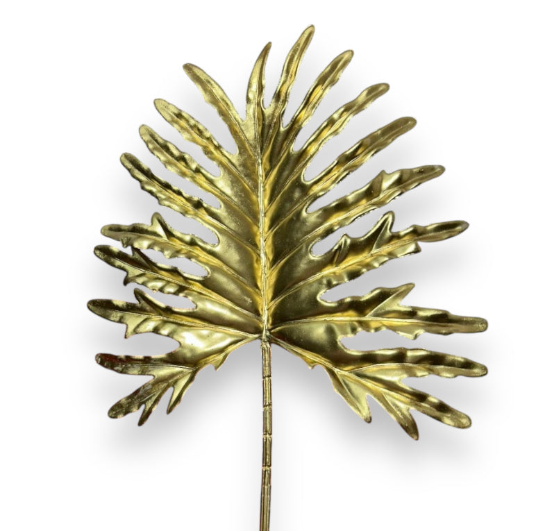 Foglia philo selloum gold 56cm