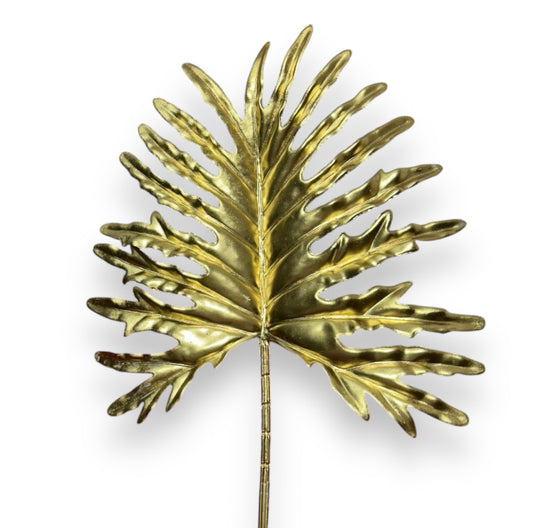 Foglia philo selloum gold 56cm