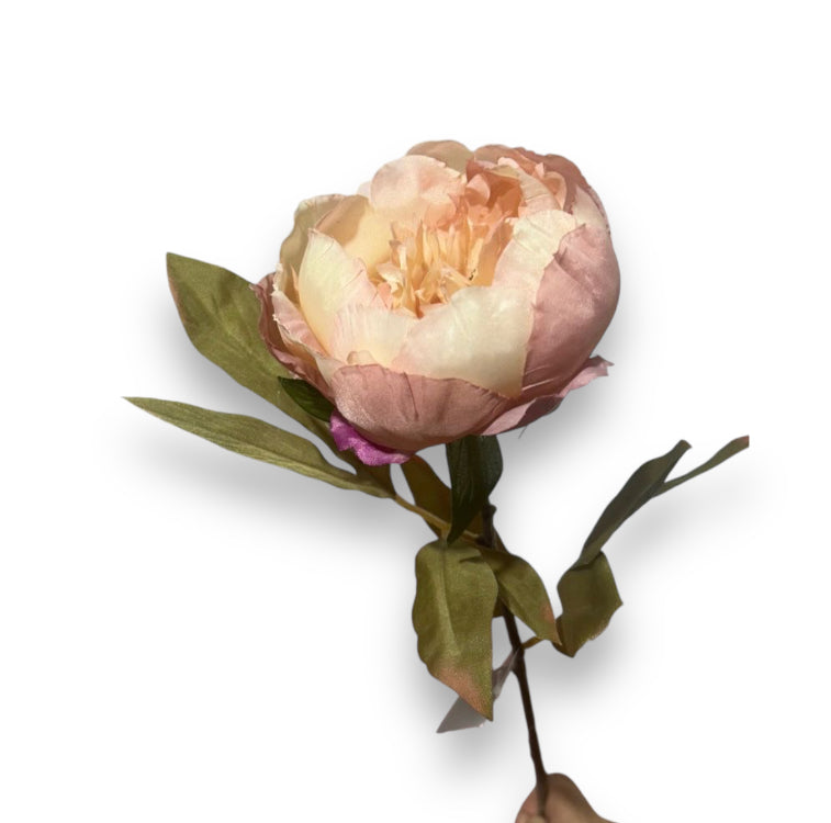 Single peony spray 67cm