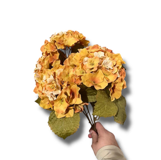 Hydrangea buch x5 45cm