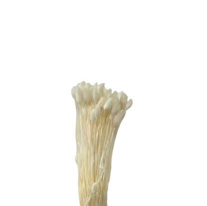 Poa 100gr