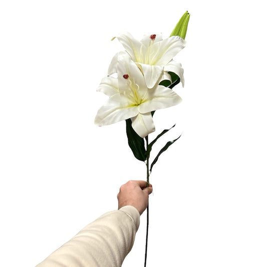 Lilium artificiale