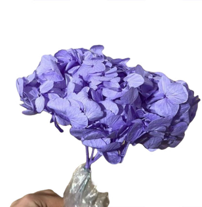 Hydrangea stabilizzata - Mamà Lah