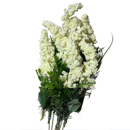 Bush astilbe x9 55cm - Mamà Lah