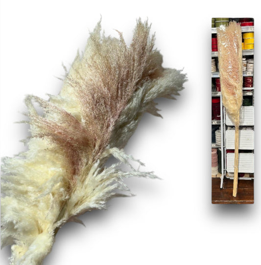 MAZZO EXTRA PAMPAS X6
NATURALE (H.=170cm)