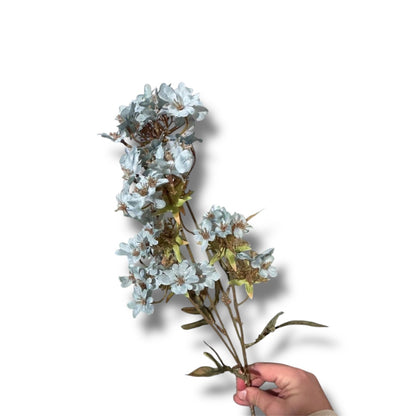 Verbera spray 70cm