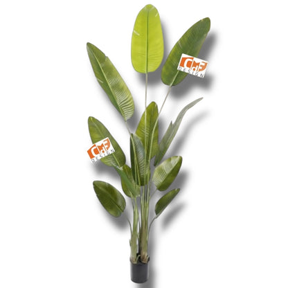 Pianta artificiale polietilene sterlizia