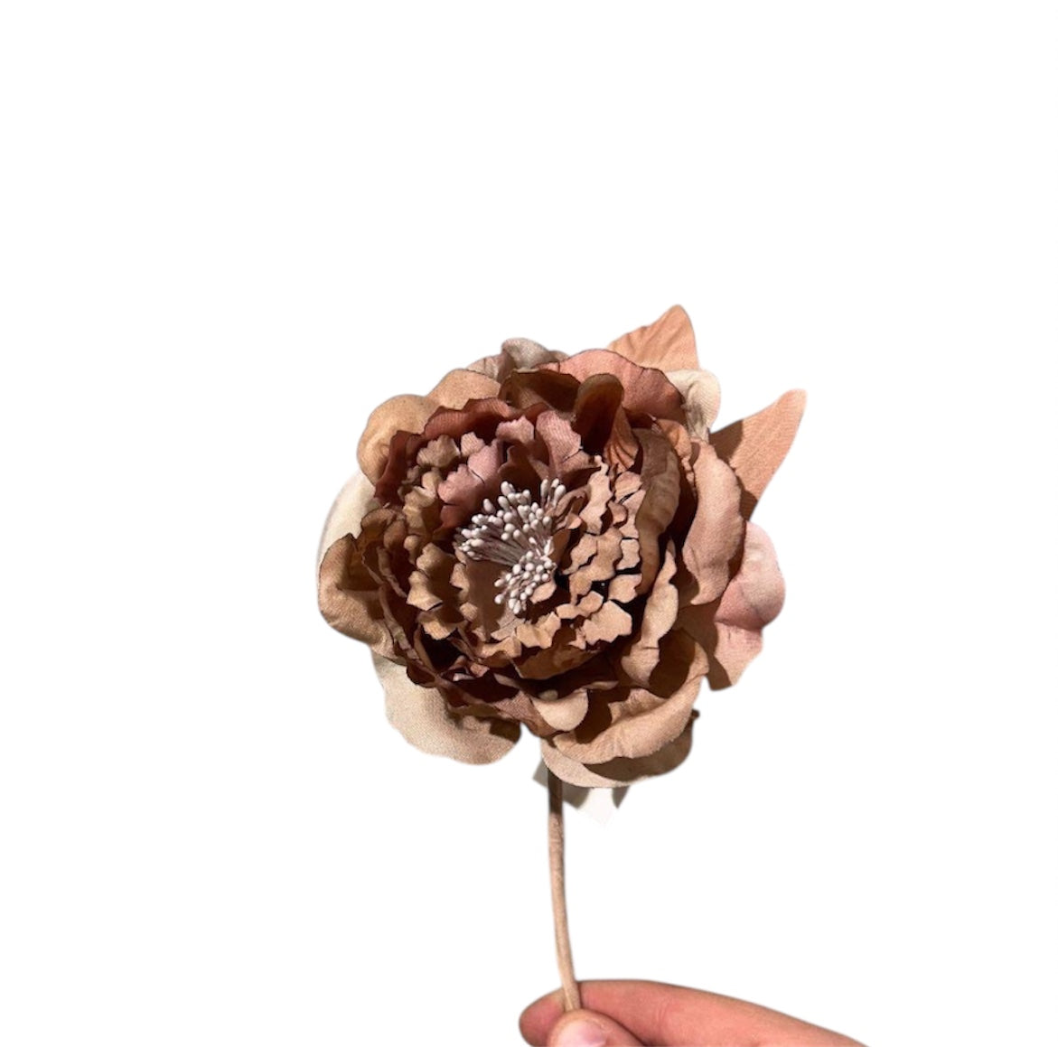 Pick Peonia D.11cm (12pz)