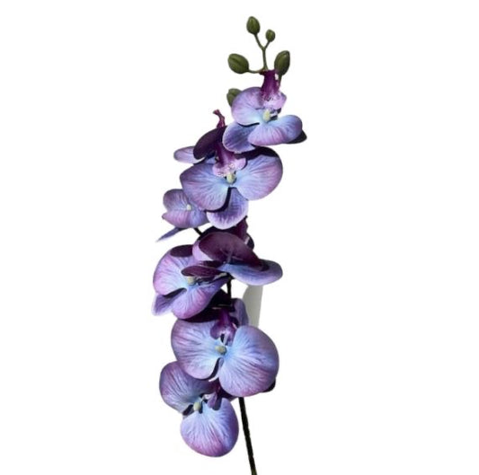 Ramo orchidee