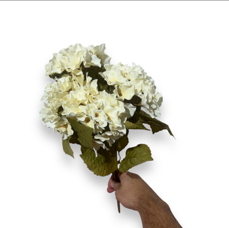 Hydrangea bush x5 45cm