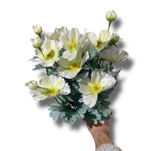 Cosmos bush 58cm