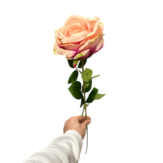 Rose singole