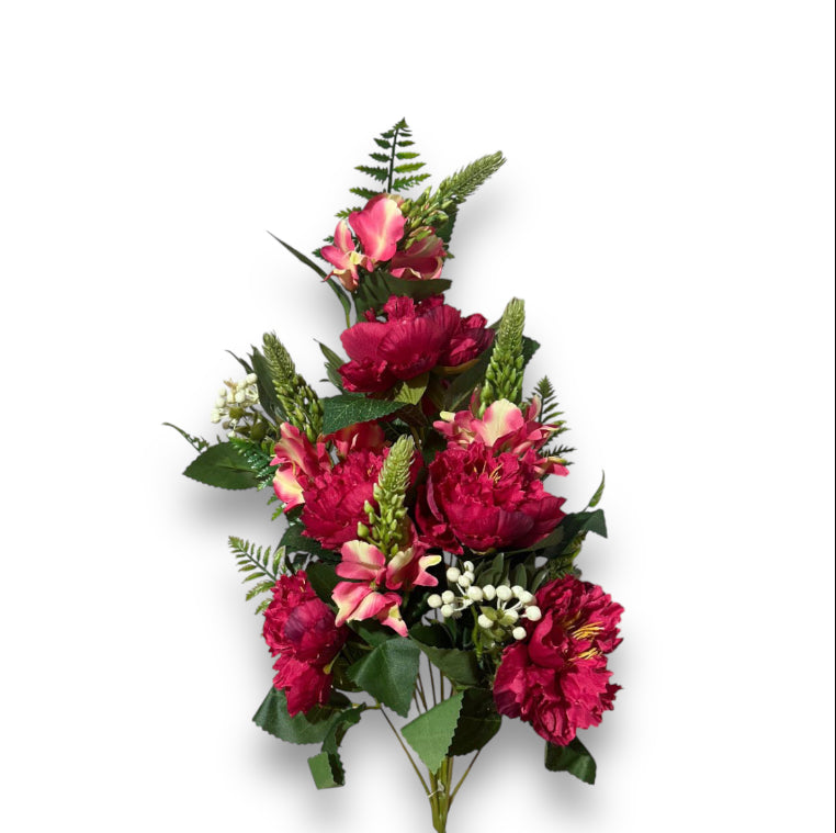 Frontale peonie