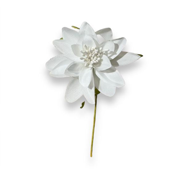 Dalia piccola 6cm (6pz)