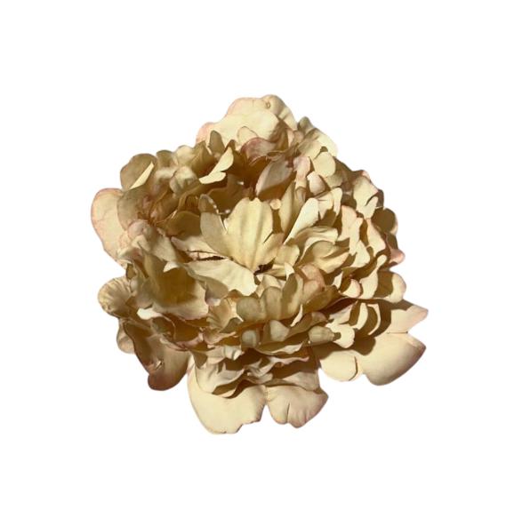 Peony single stem 13x13x16cm